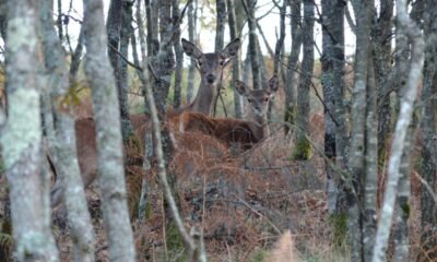 Foto: 24noticias.sapo.pt