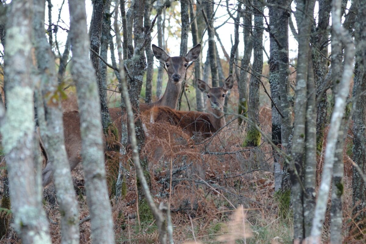 Foto: 24noticias.sapo.pt