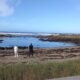 Mulher encontrada morta em praia de viana