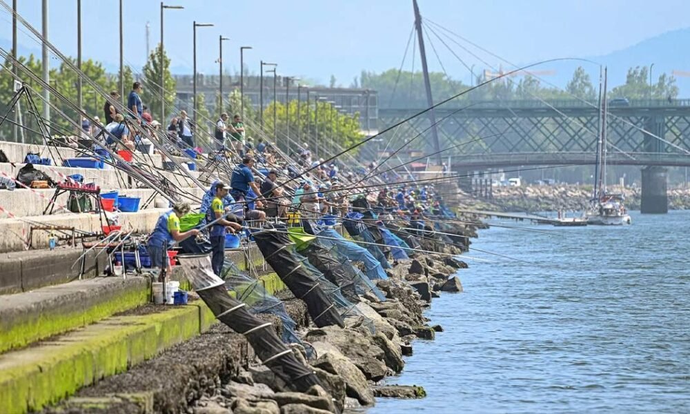 Melhores do mundo da pesca desportiva competem em viana do castelo