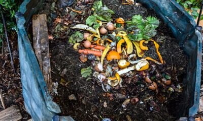 Paredes de coura aposta na compostagem para "reduzir custos para as famílias": "deposição em aterro passou de 9 euros para 95 euros por tonelada"