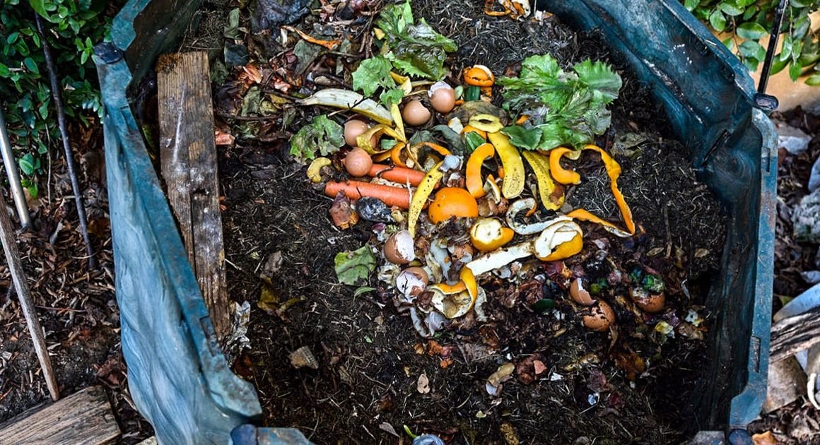 Paredes de coura aposta na compostagem para "reduzir custos para as famílias": "deposição em aterro passou de 9 euros para 95 euros por tonelada"