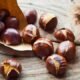 Vespa da galha do castanheiro pode afetar produção de castanha em zonas de VinhaisCréditos:Foto DepositPhotos