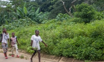 Angola vacina quase 11 milhões de crianças contra pólio, sarampo e febre amarelaCréditos:Foto Depositphotos