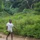 Angola vacina quase 11 milhões de crianças contra pólio, sarampo e febre amarelaCréditos:Foto Depositphotos