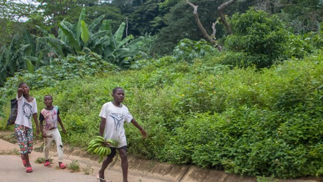 Angola vacina quase 11 milhões de crianças contra pólio, sarampo e febre amarelaCréditos:Foto Depositphotos