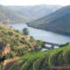 Governo atribui apoio a uva por vindimar para mitigar crise no douro