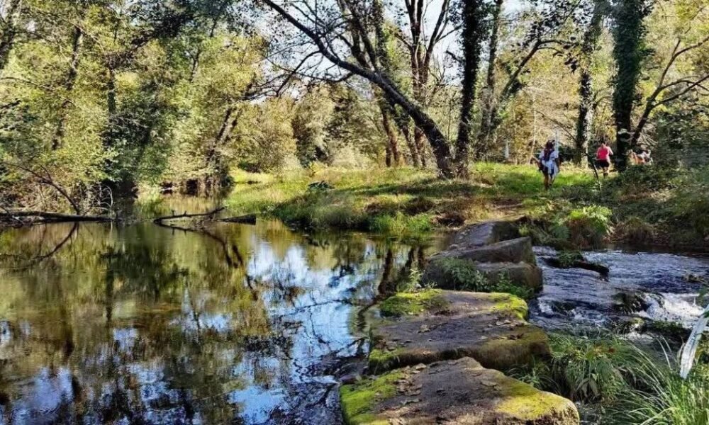 Vila verde: trail vale do homem dá a conhecer um dos belos rios de portugal
