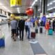 Centro especializado do Governo de SP recebe 50 ovos de aves silvestres apreendidos no Aeroporto Internacional de Guarulhos