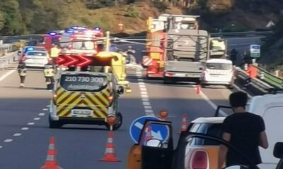 Seguradora e dono de cão pagam 14 mil euros por acidente na a3 em ponte de lima