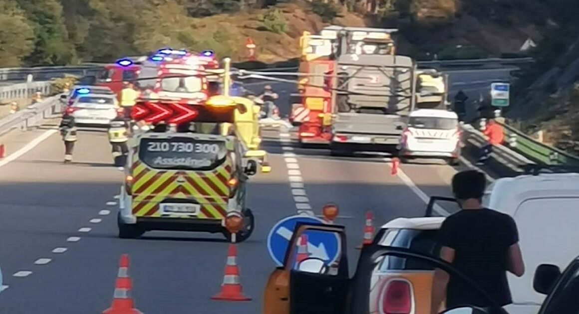 Seguradora e dono de cão pagam 14 mil euros por acidente na a3 em ponte de lima