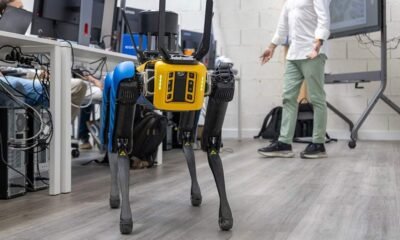 Construtora de braga tem cão-robô para entrar em zonas de risco nas obras