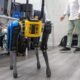 Construtora de braga tem cão-robô para entrar em zonas de risco nas obras