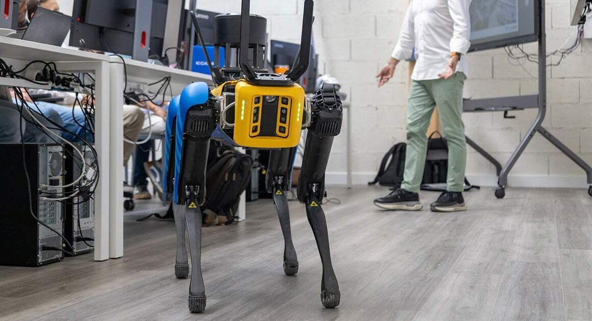 Construtora de braga tem cão-robô para entrar em zonas de risco nas obras