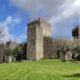 Castelo de guimarães com entrada livre esta quarta-feira