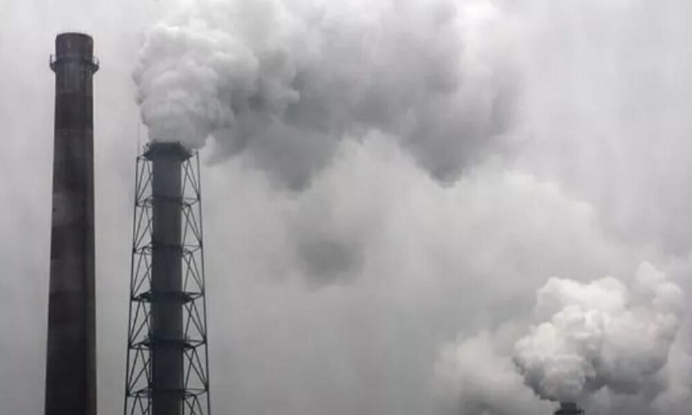 Empresas do norte valorizam sustentabilidade mas têm dificuldades em implementá-la