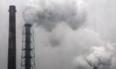Empresas do norte valorizam sustentabilidade mas têm dificuldades em implementá-la