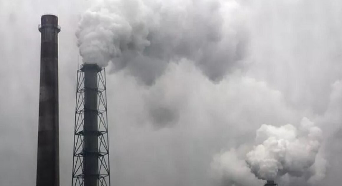 Empresas do norte valorizam sustentabilidade mas têm dificuldades em implementá-la