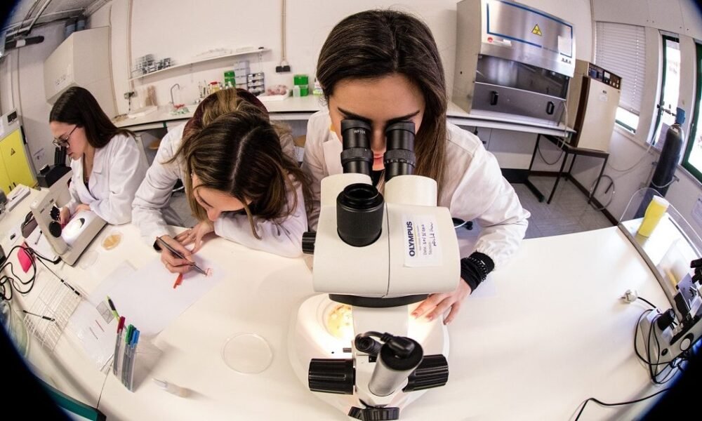 Investigadores do minho e do porto criam "hidrogel inovador" para tratar melanoma