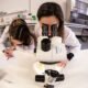 Investigadores do minho e do porto criam "hidrogel inovador" para tratar melanoma