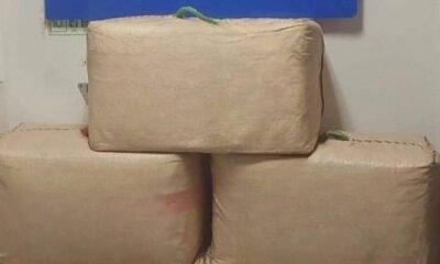 Polícia Marítima apreendeu 350 quilos de droga no litoral alentejanoCréditos:Polícia Marítima