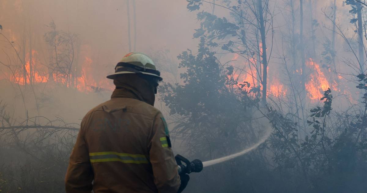Milhões de euros em subsídios de emergência ficaram por entregar às vítimasCréditos:PAULO NOVAIS