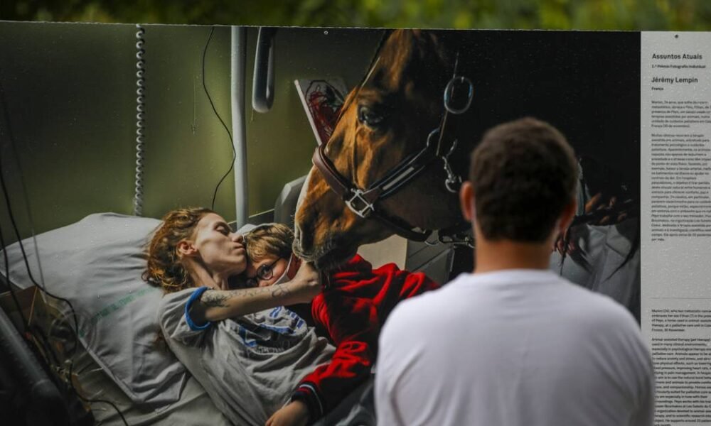 Exposição World Press Photo regressa a OeirasCréditos:ANDRÉ KOSTERS