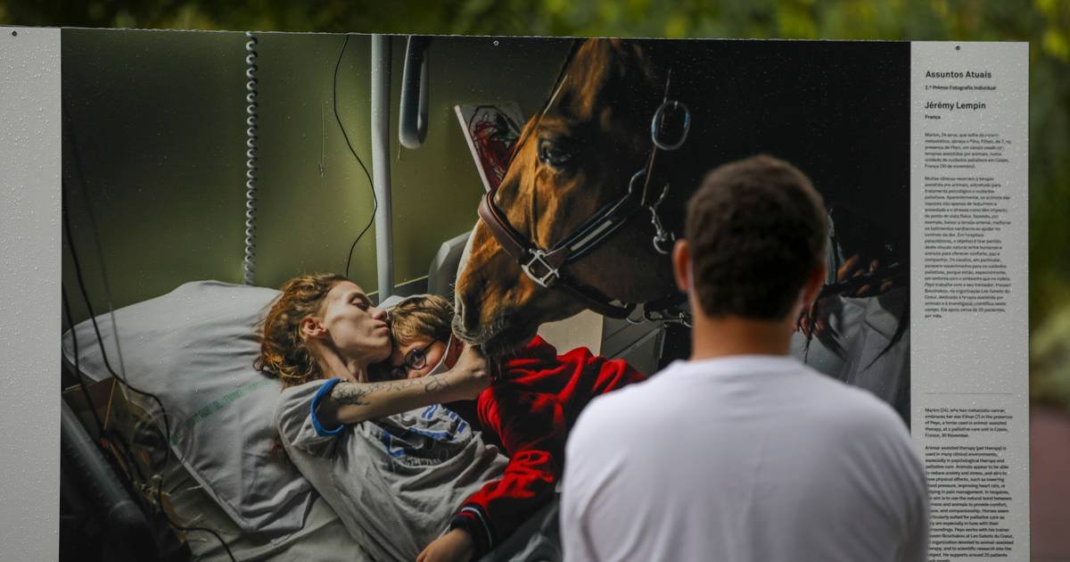Exposição World Press Photo regressa a OeirasCréditos:ANDRÉ KOSTERS