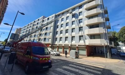 Sapadores de braga são 'campeões' a destruir ninhos de vespas asiáticas: já foram mil em 2026