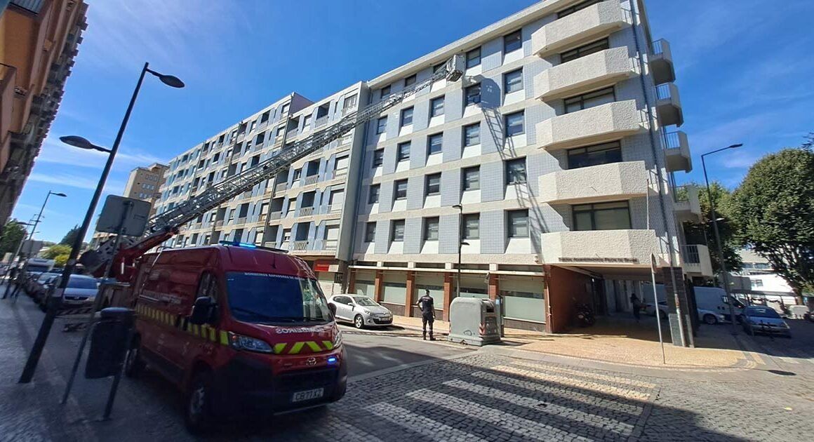 Sapadores de braga são 'campeões' a destruir ninhos de vespas asiáticas: já foram mil em 2026