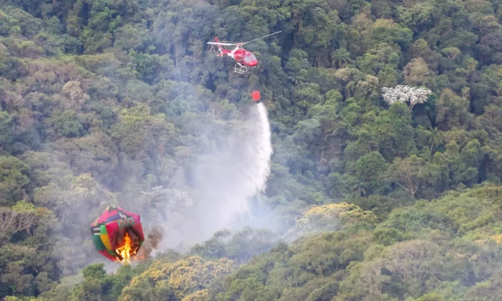 Governo de SP mobiliza força-tarefa com 30 profissionais e equipamentos especializados para apoiar no combate a incêndios no Amazonas