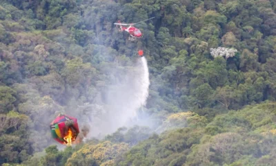 Governo de SP mobiliza força-tarefa com 30 profissionais e equipamentos especializados para apoiar no combate a incêndios no Amazonas