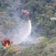 Governo de SP mobiliza força-tarefa com 30 profissionais e equipamentos especializados para apoiar no combate a incêndios no Amazonas