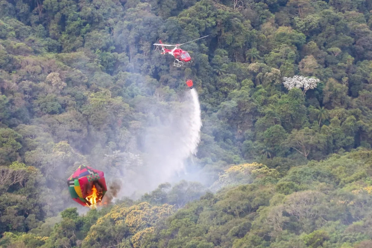 Governo de SP mobiliza força-tarefa com 30 profissionais e equipamentos especializados para apoiar no combate a incêndios no Amazonas