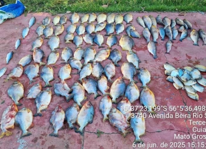 1344950907ff916403cb59487d7e5bea