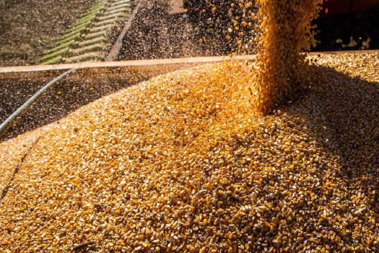 incertezas-sobre-cotacoes-tambem-atingem-mercado-de-frete-em-mt